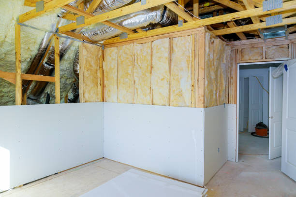 Best Cellulose Insulation in Tatum, TX
