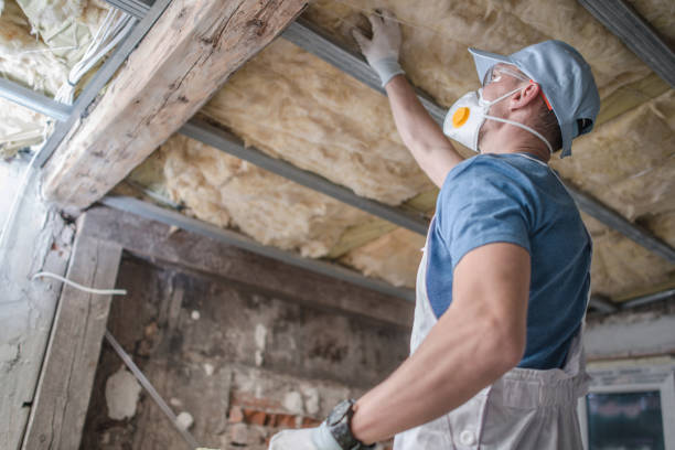 Best Insulation Maintenance and Repair in Tatum, TX