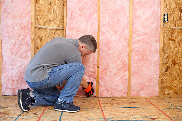 Best Eco-Friendly Insulation in Tatum, TX